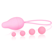 Intimichic Pelvis Health I 2.0 Rehabilitación Pélvica - Pelvia