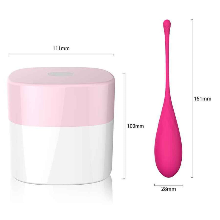 Leslie Kegel fit Set de Pesas Vaginales - Pelvia